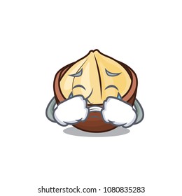 Crying macadamia mascot cartoon style