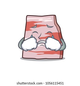 Crying pork lard mascot cartoon