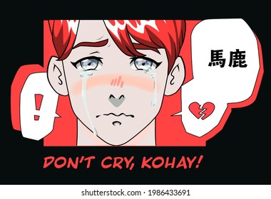 Crying red-haired young man in anime style. Japanese text in speech bubble means "Fool".