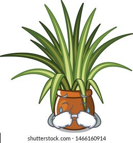 Crying spider plants in a cartoon pots