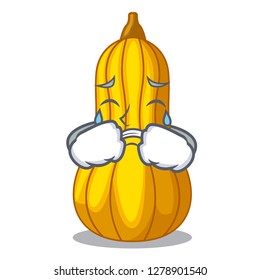 Crying squash fruit in cartoon wooden box