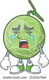 Crying sweet melon fruit character mascot shape.