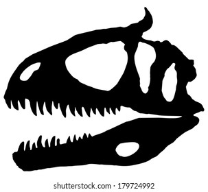 Cryolophosaurus, a Jurassic dinosaur discovered in Antarctica. Skull restoration illustration.