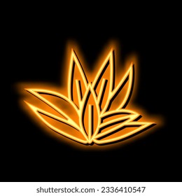 cryptocoryne wendttii neon light sign vector. cryptocoryne wendttii illustration