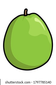Crystal guava vector illustration,isolated on white background for children education,fruits top view