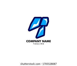 Crystal Ice Logo Vector Icon