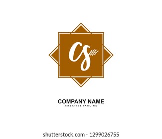 CS Initial Handwriting Logo Template Vector