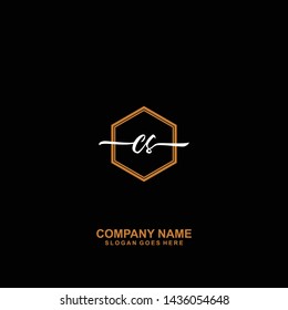 CS Initial handwriting logo template vector