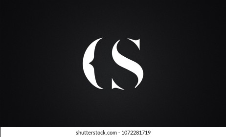 CS Letter Logo Design Template Vector