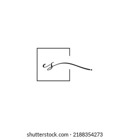 CS siganture logo concept in high quality professional design that will print well across any print media