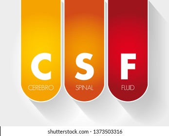 CSF Cerebrospinal Fluid - clear fluid that surrounds the brain and spinal cord, acronym text concept background