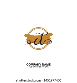 CT Initial handwriting logo vector