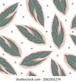 Ctenanthe oppenheimiana beautiful green - pink leaves seamless pattern, vector illustration.