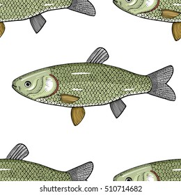ctenopharyngodon idella pattern