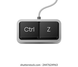 Ctrl Z or Copy Paste button combination. Computer Keyboard. Word on pc computer keyboard. Vector illustration.