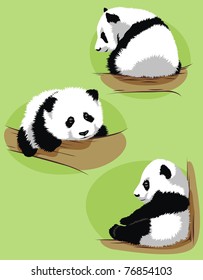 The cub of a panda creeps on a tree in various poses
