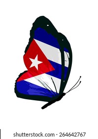 Cuba flag butterfly - vector