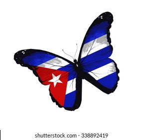 Cuba flag butterfly - vector