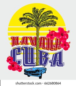 Cuba Havana palm beach hibiscus flower blue car