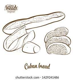 Cuban bread bread vector drawing. Food sketch of Yeast bread, usually known in United States. Bakery illustration series.