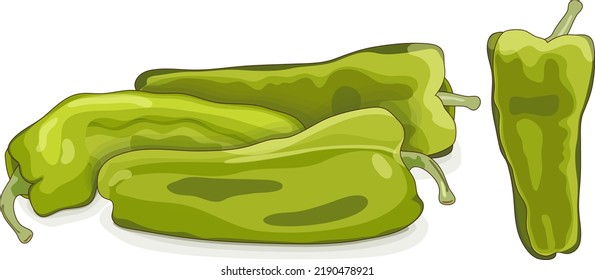Cubanelle pepper. Capsicum annuum cubanelle, cuban pepper, Italian Frying Pepper. Fresh organic and healthy, vegetarian vegetables. Cartoon style. Vector illustration isolated on white background.