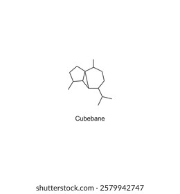 Cubebane skeletal structure.Sesquiterpene compound schematic illustration. Simple diagram, chemical structure.