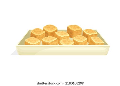 Cubes of Fried or Roasted Tofu or Soy Bean Curd on Plate as Product from Edible Legume Plant Vector Illustration