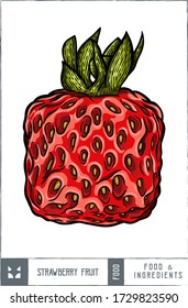 Fruto de fresa cúbica Ilustración vectorial - Dibujo manual
