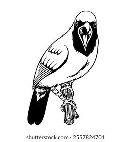 Cucak Ijo (Chloropsis sonnerati) bird Vector Illustration of chirping upright facing the front with a touch of black and white detail suitable for logo design or as a pattern for your brand's clothes.