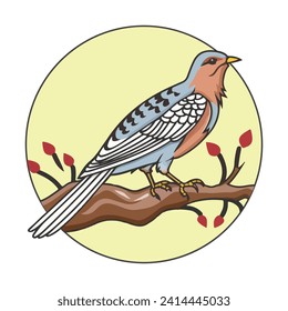 Cuckoo Bird Custom Vector Design