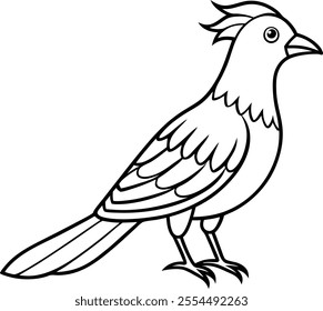 Cuckoo bird line art vector design