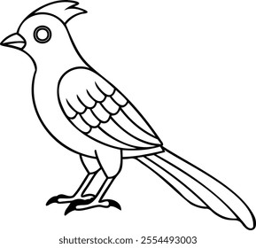 Cuckoo bird line art vector design