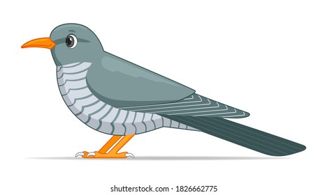 31 Cuckoo Singing Stock Vectors, Images & Vector Art | Shutterstock