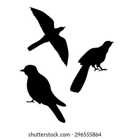 Cuckoo Bird Vector Silhouettes.