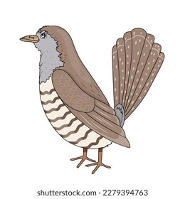 Cuckoo in cartoon style on a white background. Vector stock illustration. Animal with wings and feathers. Isolated