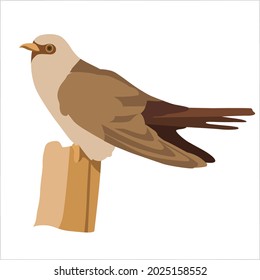Cuckoo Color Clipart Vector Illustration Design