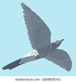 Cuckoo in flight against the blue sky. Vector, flat, colored bird on a blue background.