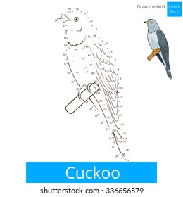 Cuckoo learn birds educational game learn to draw vector illustration