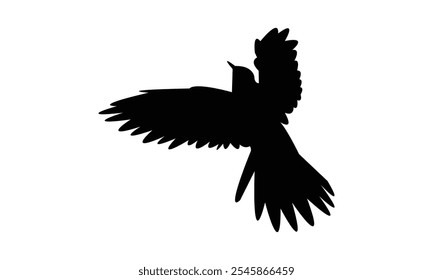 Cuckoo Silhouette Design  And Vector Illustration. 