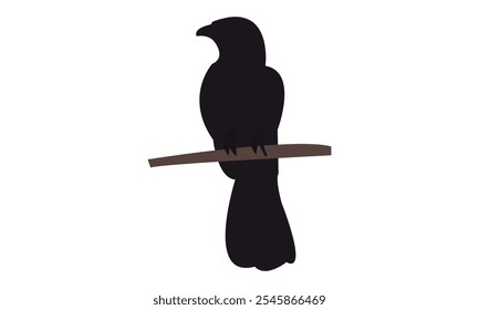 Design De Silhueta Cuckoo E Ilustração De Vetor. 