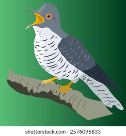 A cuckoo sits on a branch and cuckoos on a green background.  The bird looks to the left. Vector, flat. Image of a bird making sounds.