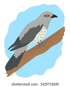 Cuckoo sitting on a branch. Vector illustration.