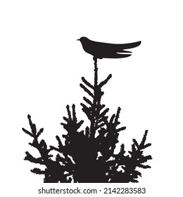 Cuckoo sitting on top of fur tree. Vector silhouette