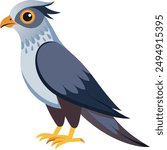 A Cuckoo  vector art illustration 