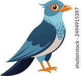 A Cuckoo  vector art illustration 