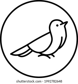 Ave Cuckoos, ilustración, en un fondo blanco.