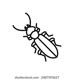 Cucujus Cinnaberinus Outline Icon, Vector illustration