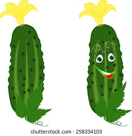 cucumber 