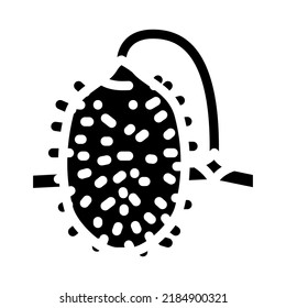 cucumber anguria glyph icon vector. cucumber anguria sign. isolated symbol illustration