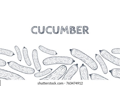 Cucumber Background Hand Drawn Sketch. Vector illustration